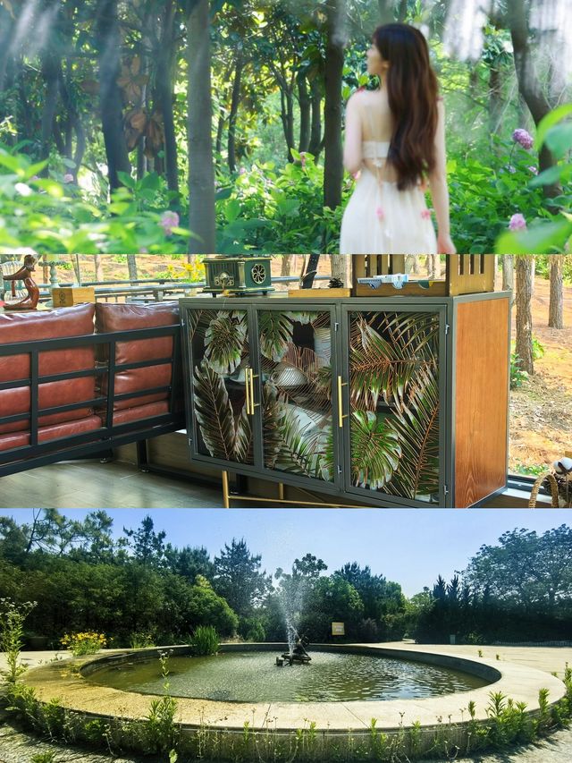 夏日嘅揚州，呢片松林同花海真係令人驚艷