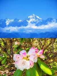 九鼎山：四川嘅「雪山秘境」，等你嚟解鎖！