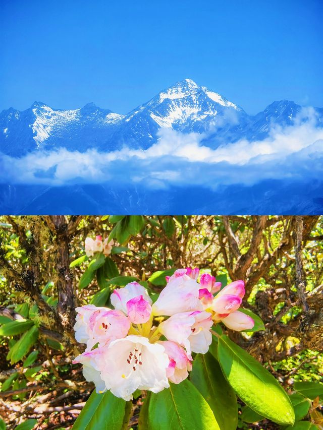 九鼎山：四川嘅「雪山秘境」，等你嚟解鎖！