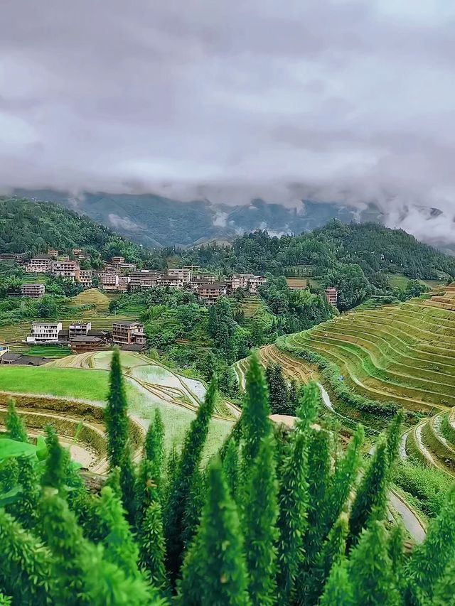 龍脊梯田 | 夏日避暑勝地，民宿美到哭 