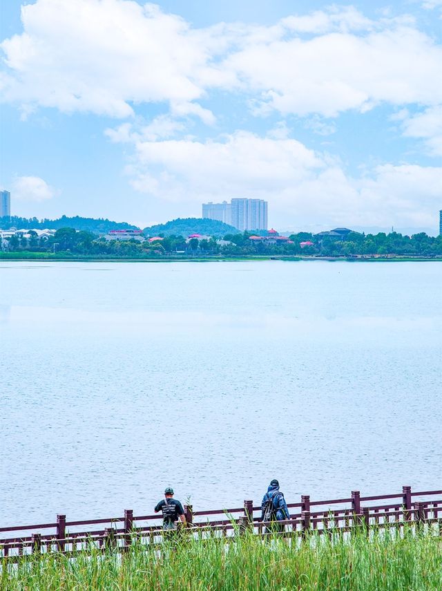 長沙星沙影相指南：呢3個地方太易出大片！
