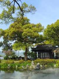 杭州西湖柳鶯里酒店真實入住體驗