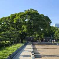 大阪必打卡！穿越時空的大阪城公園一日漫遊攻略✨
