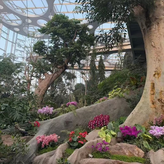 魔都綠野仙蹤｜亞洲最大溫室花園全攻略（含隱藏玩法）