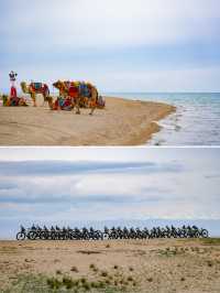 青海湖2天1晚極致玩法刷爆朋友圈