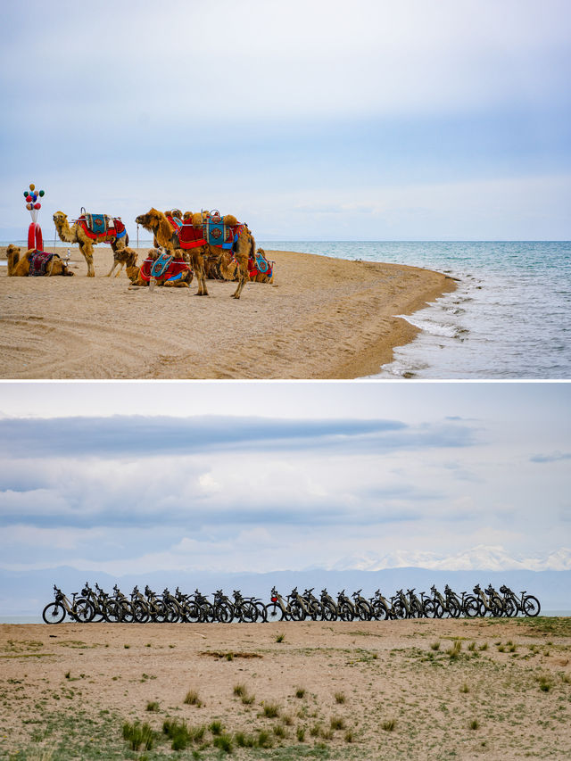 青海湖2天1晚極致玩法刷爆朋友圈