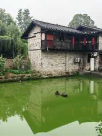 湖南岳陽張古英村王家塅