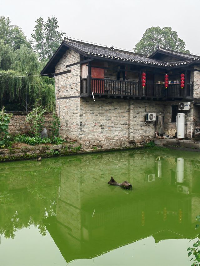 湖南岳陽張古英村王家塅