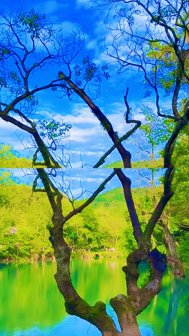 地球級仙境荔波小七孔超全玩水攻略