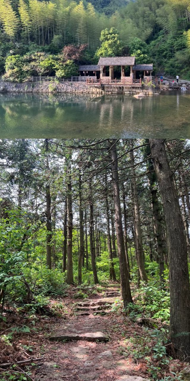 東白山徒步露營攻略，錯過後悔一整年！
