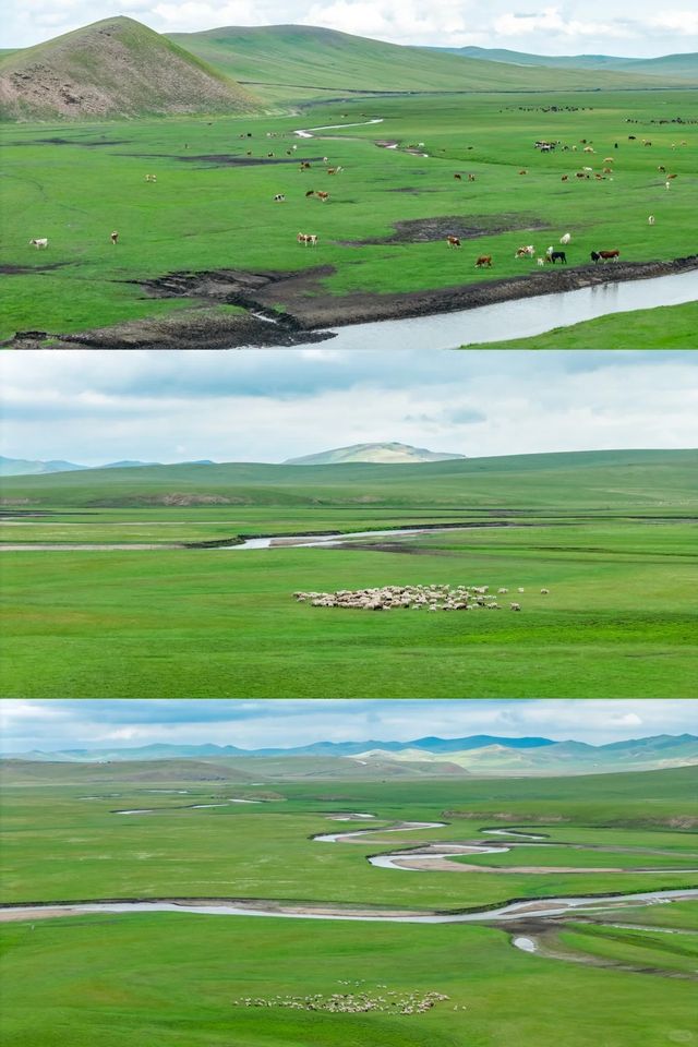 內蒙古旅遊啱啱返嚟，講啲唔怕得罪人嘅大實話…