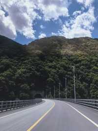 向山野，同昆蟲、樹葉同蘑菇見面