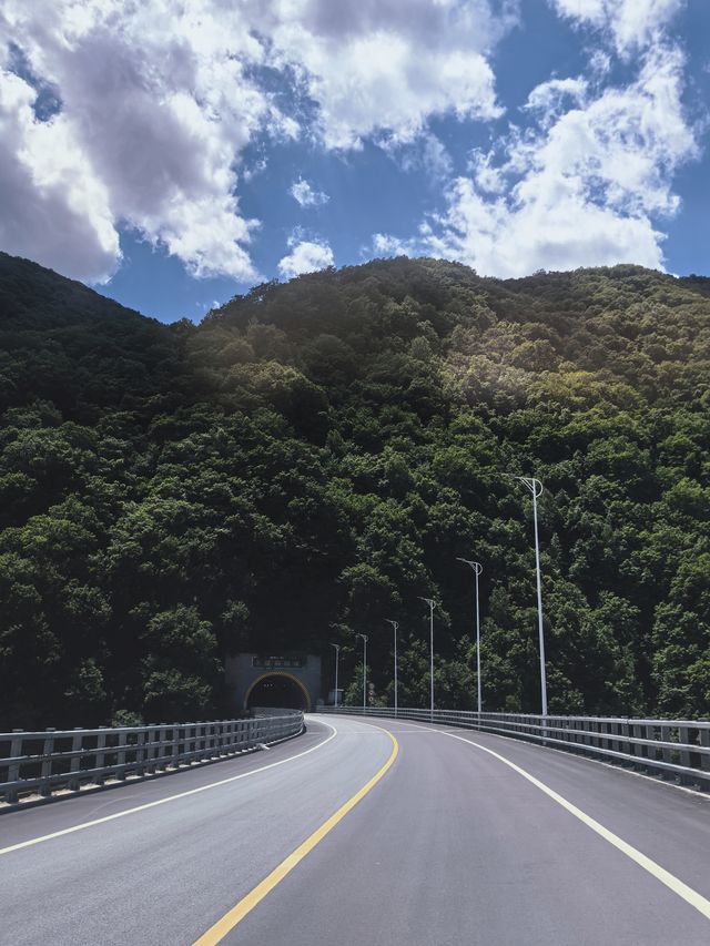 向山野，同昆蟲、樹葉同蘑菇見面