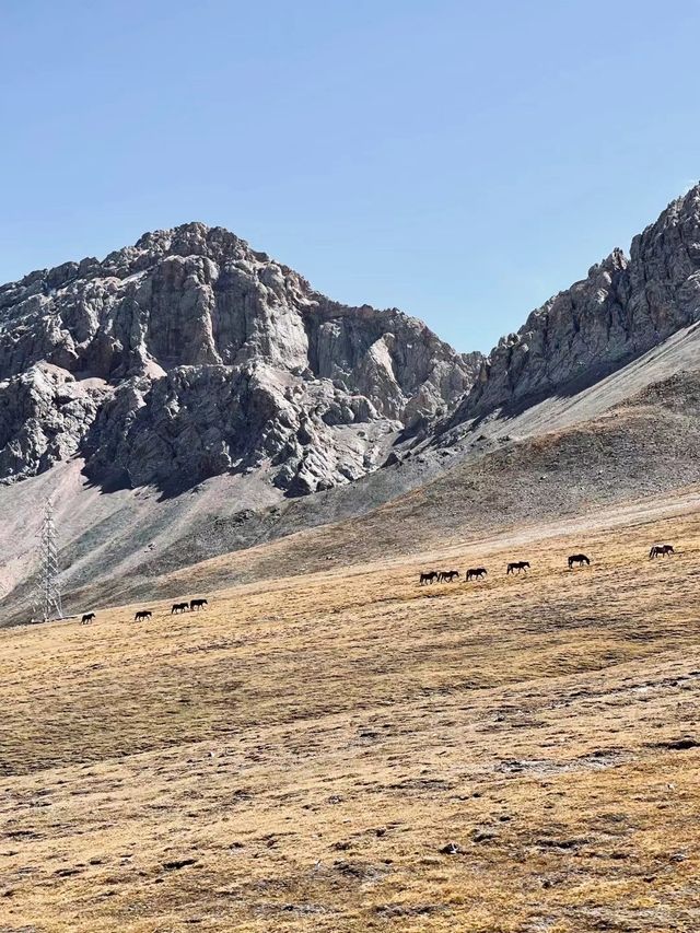 德令哈·祁連山 | 闖入西北最野性的詩與遠方