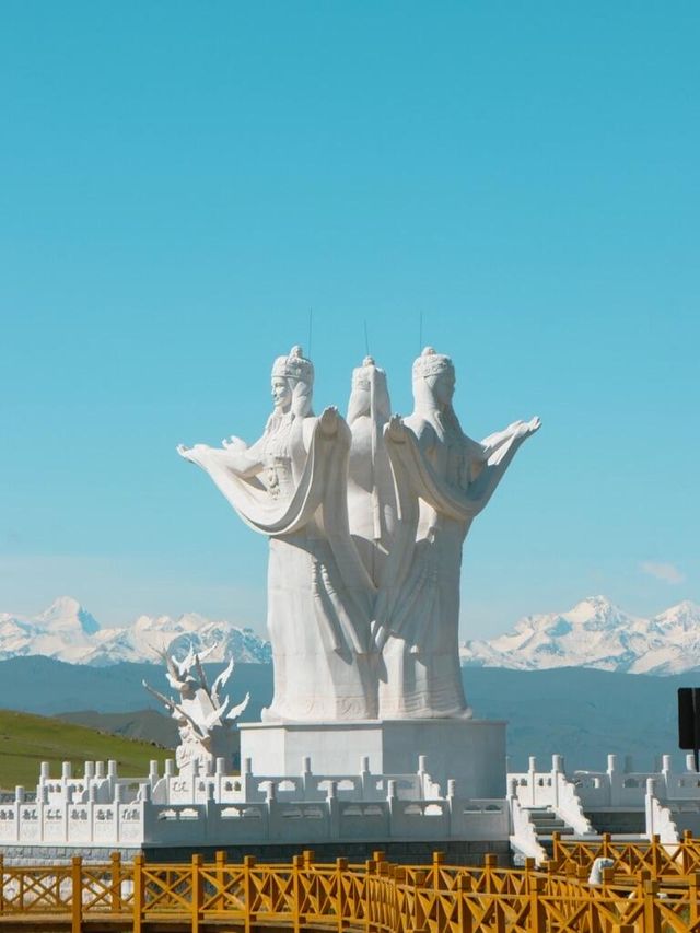雲端牧場，天鵝故鄉