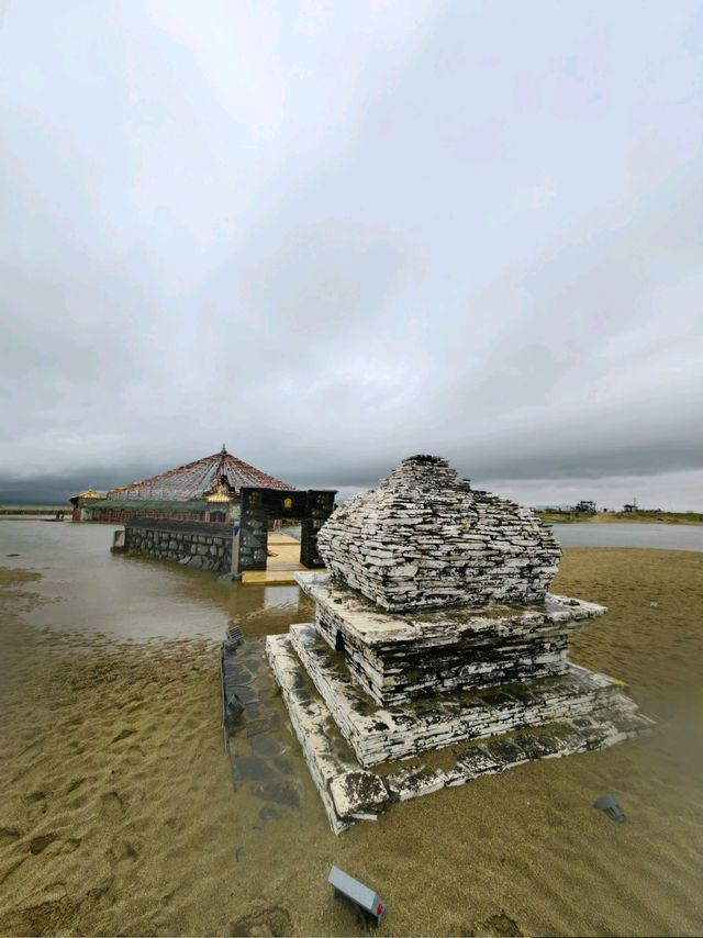 青海湖七月藍黃奇境