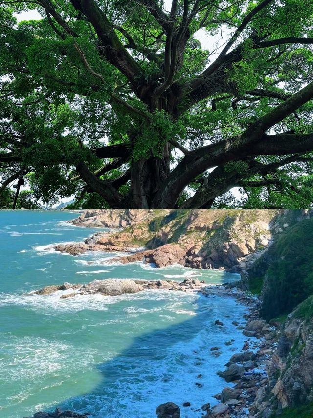 唔好再迫爆網紅景點啦！漳州呢個小眾城市，三日玩盡山海同地道美食