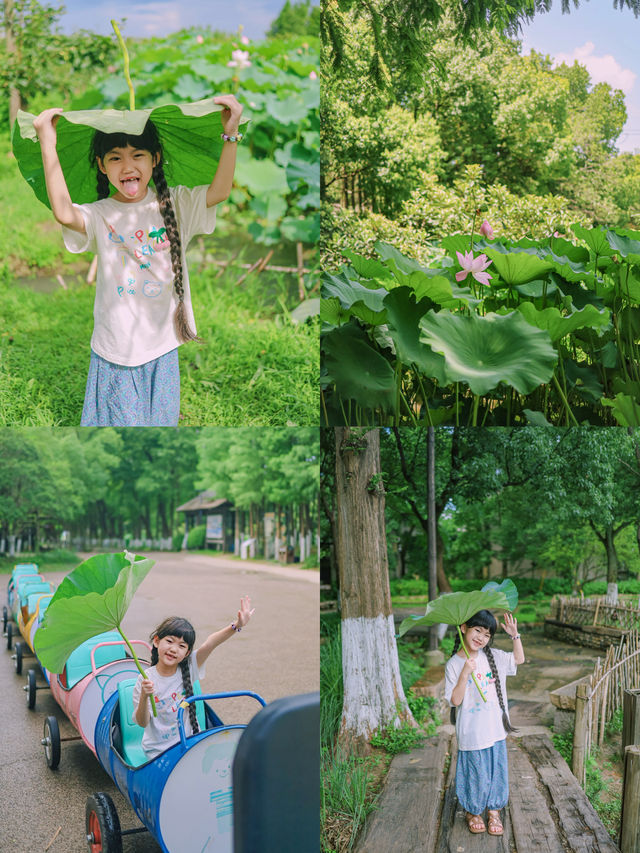江浙滬親子遊｜到烏村尋找兒時嘅夏天