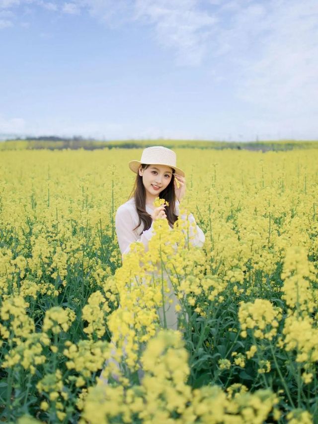 去門源油菜花海千祈唔好犯呢啲禁忌！否則後悔莫及