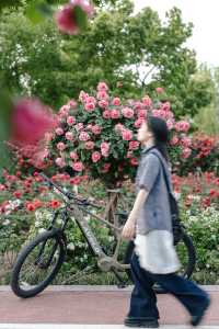 7公里躺騎天堂！20分鐘公園效應！
