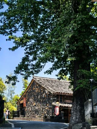 Zhejiang's Hidden Cloud Paradise! A 2-Day Summer Escape Guide to Pan'an Wushi Village
