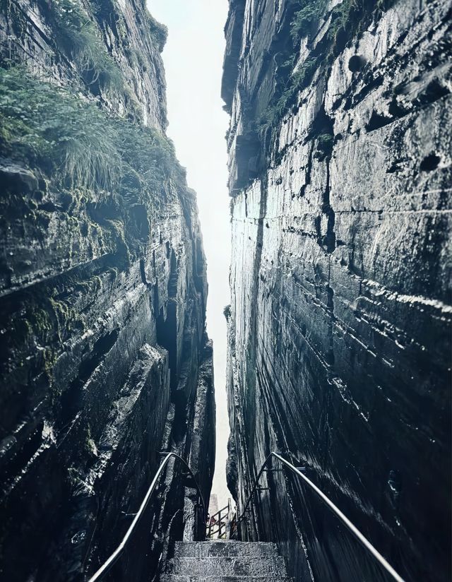 雲霧仙境蘑菇石