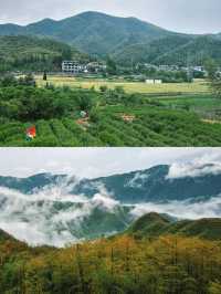 安吉雲上草原2天1夜！竹林雲海+仙境度假全攻略