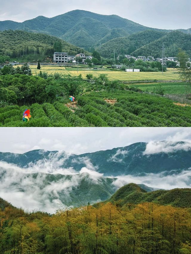 安吉雲上草原2天1夜！竹林雲海+仙境度假全攻略