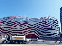 🌟 Hollywood Dreams in LA! 🌴