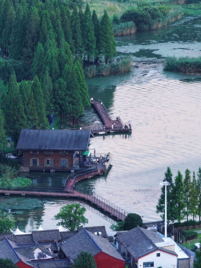 夏日躺平指南/度假先係夏日嘅正確打開方式