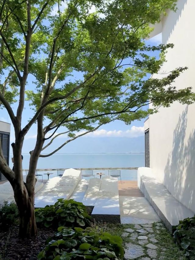 寶子們看著 大理洱海旁的酒店性價比超高要不一起旅行