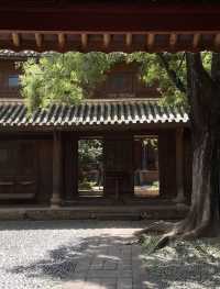 住進畫卷裡｜我沉浸在大理的風花雪月中·喜林苑