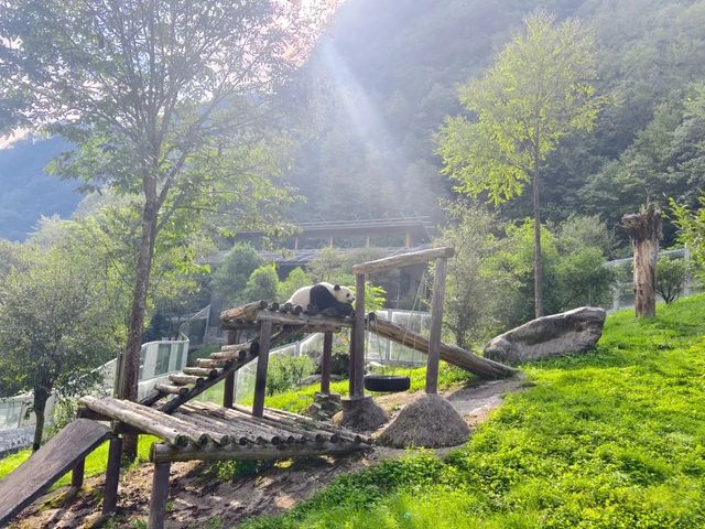 九月第一天！神農架初秋已上線，本地人私藏的4大封神玩法
