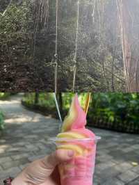 中老緬三國交界，西雙版納勐臘縣，值得再來！
