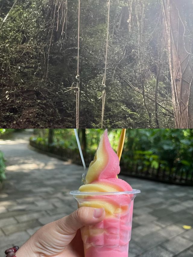 中老緬三國交界，西雙版納勐臘縣，值得再來！