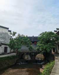 這裡有秋天的紅黃，有春天的綠，夏天的清涼，冬季的瑩白～