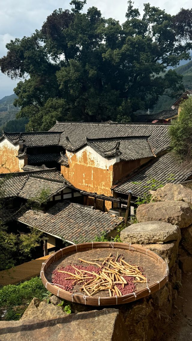有風的地方同款小院