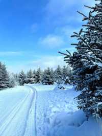 讓我們投入到這冰天雪地的世界，來一次冰雪奇緣！