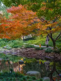 還有1個月｜魔都市區的調色盤公園即將上線