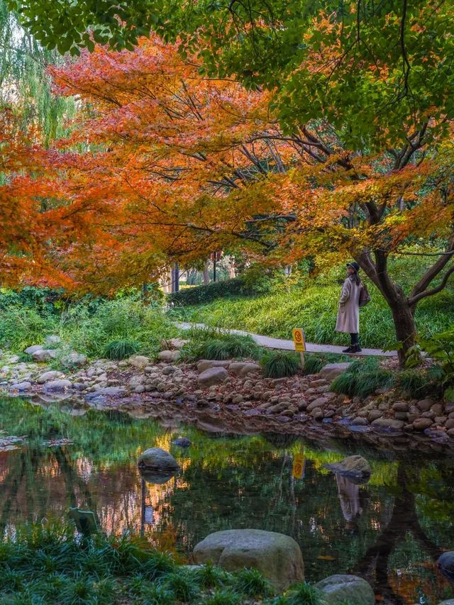還有1個月｜魔都市區的調色盤公園即將上線