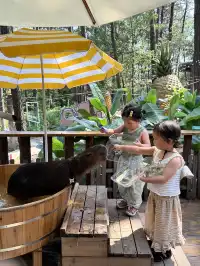 南京1h，在森林裡漂流、避暑、玩水