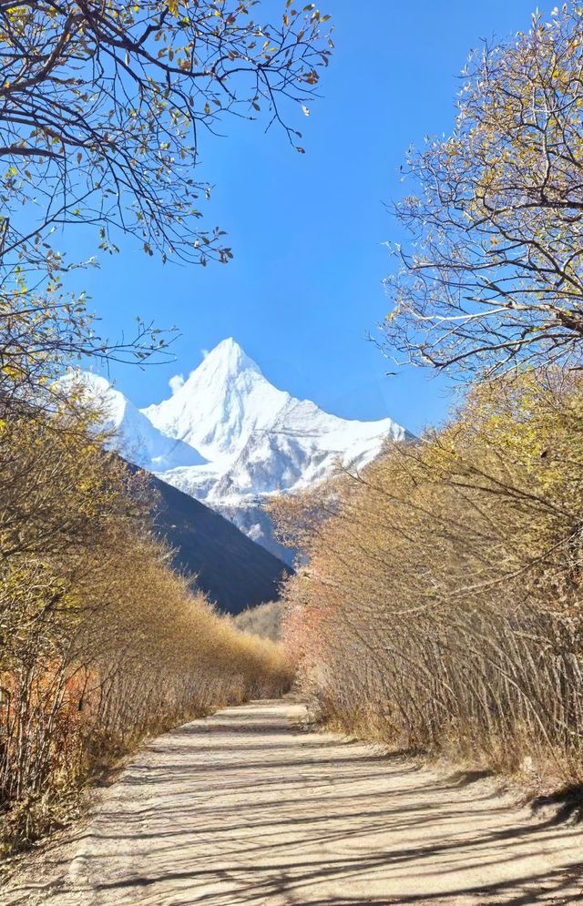 秋色稻城亞丁美出天際