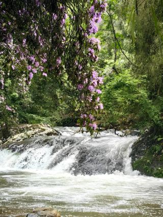 邵陽小眾秘境｜曲幽谷瀑布太絕了！