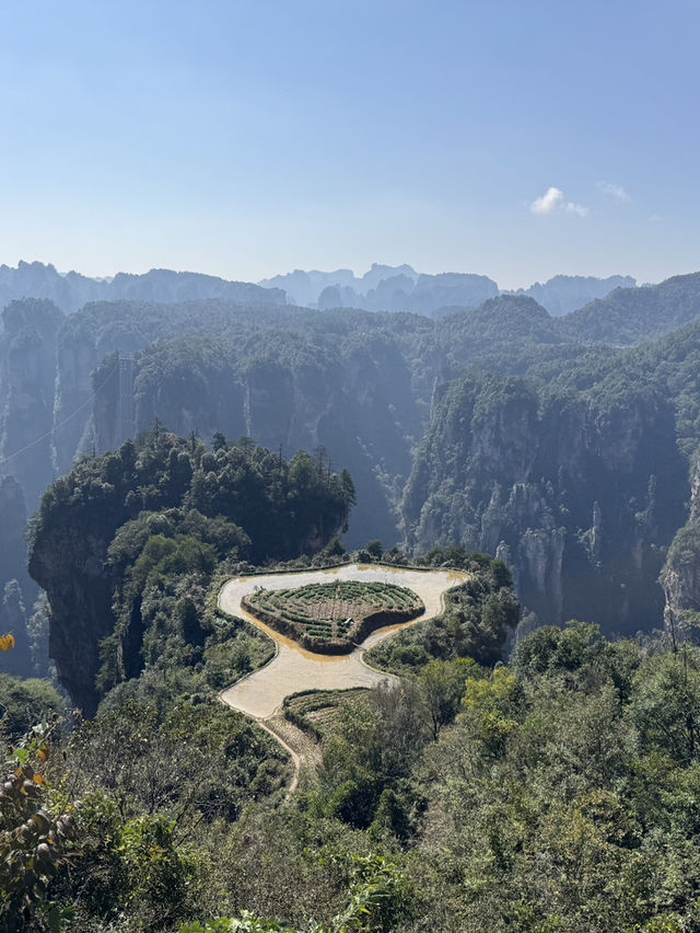 Stone Pillar Magic🌲 Stone Pillar Magic🌲