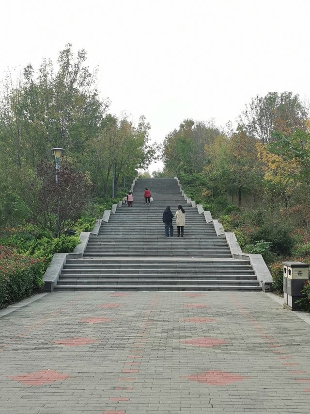 【河南省濮陽市】龍山公園。