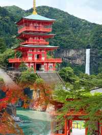 親子必看!和歌山高端不費媽玩法·3天2晚全攻略