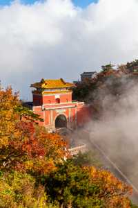 家庭遊好去處！山東日遊超高性價比