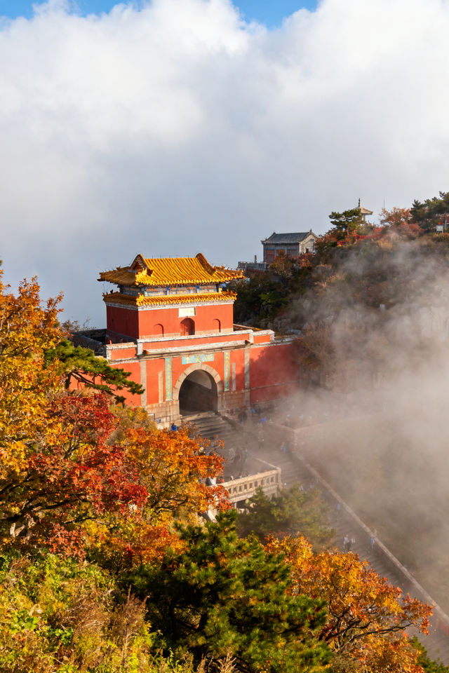 家庭遊好去處！山東日遊超高性價比
