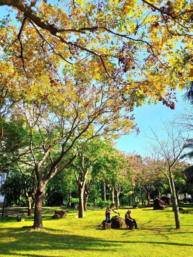 湛江這家酒店太溫馨了 湛江這家酒店太溫馨了