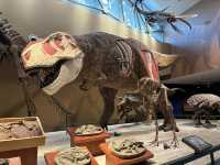 【上海自然博物館·萬物皆可見】超萌攻略來啦！